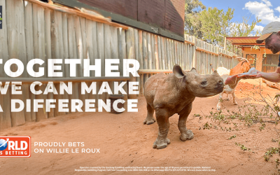 World Sports Betting & Willie Le Roux Join Forces for Rhino Conservation
